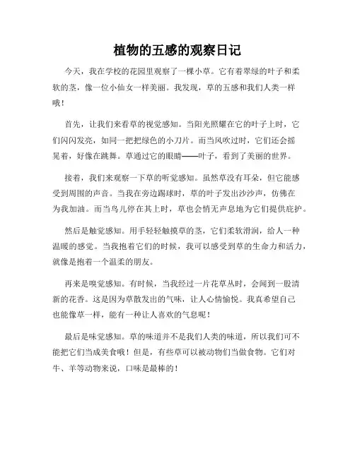 小学三年级作文植物的五感的观察日记