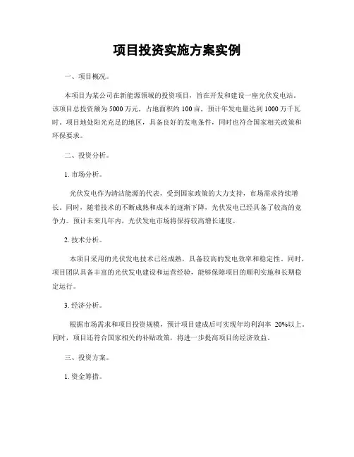 项目投资实施方案实例