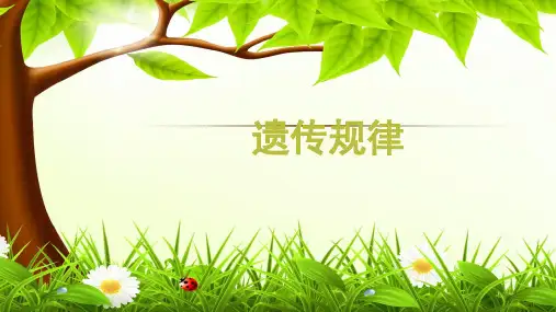 2023届高三生物一轮复习课件分离定律