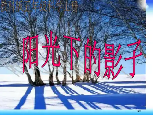 小学科学阳光下的影子省公开课一等奖全国示范课微课金奖PPT课件