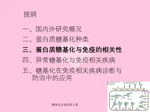 糖基化及免疫博士课课件