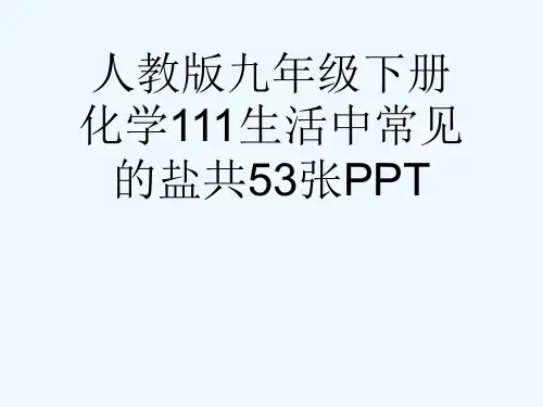 人教版九级下册化学111生活中常见的盐共53张PPT[可修改版ppt]