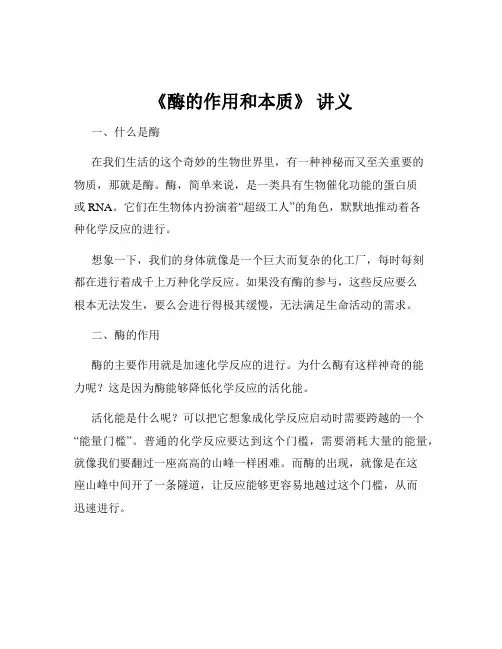 《酶的作用和本质》 讲义