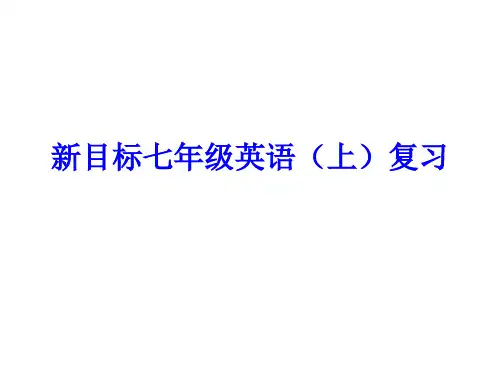 七年级英语上册总复习课件