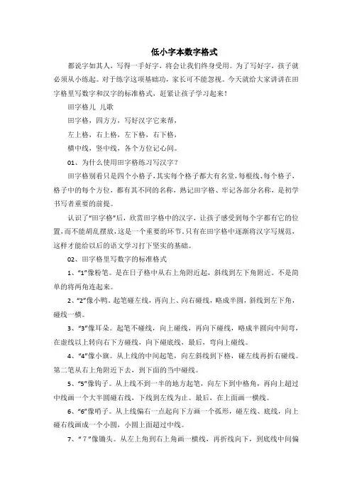低小字本数字格式