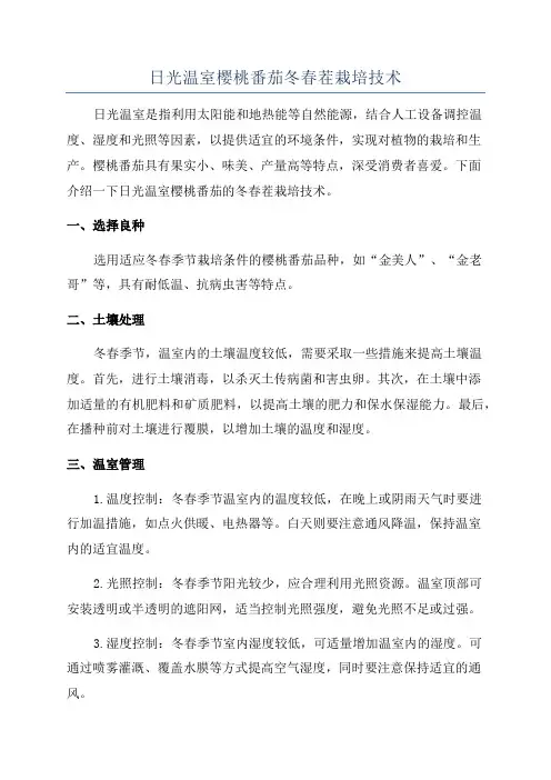 日光温室樱桃番茄冬春茬栽培技术