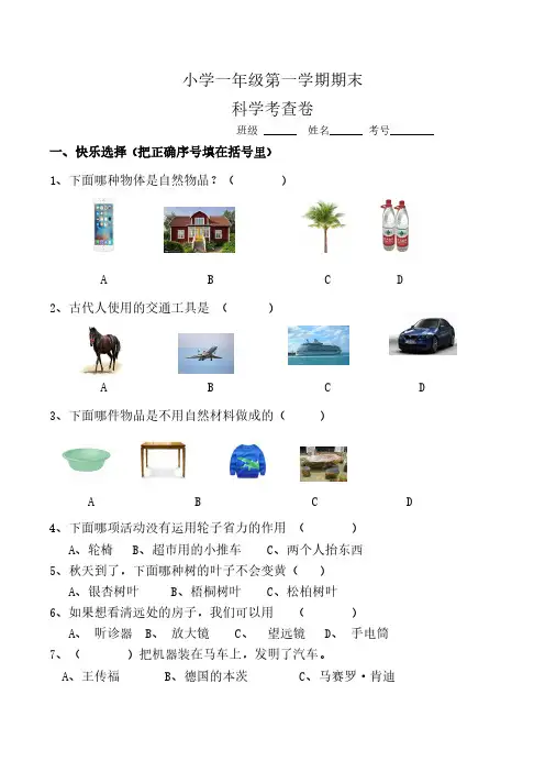 苏教版科学上册一年级期末试卷(含答案)