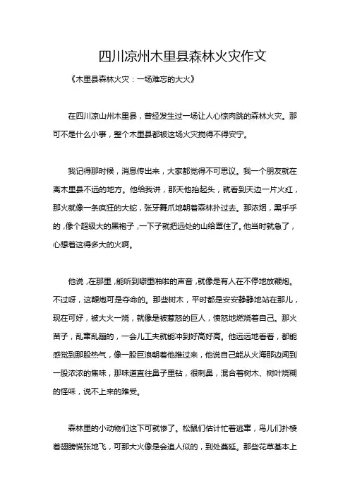 四川凉州木里县森林火灾作文