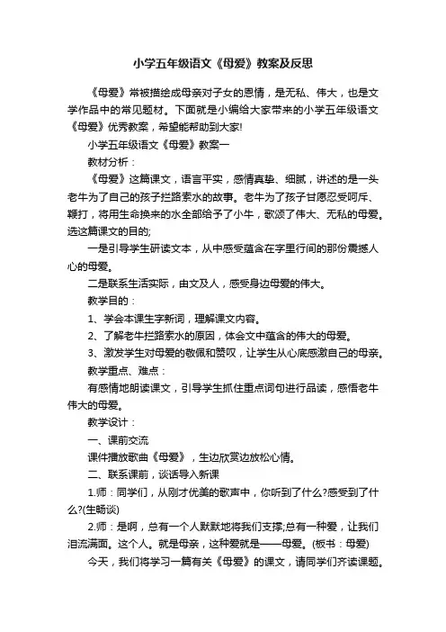 小学五年级语文《母爱》教案及反思