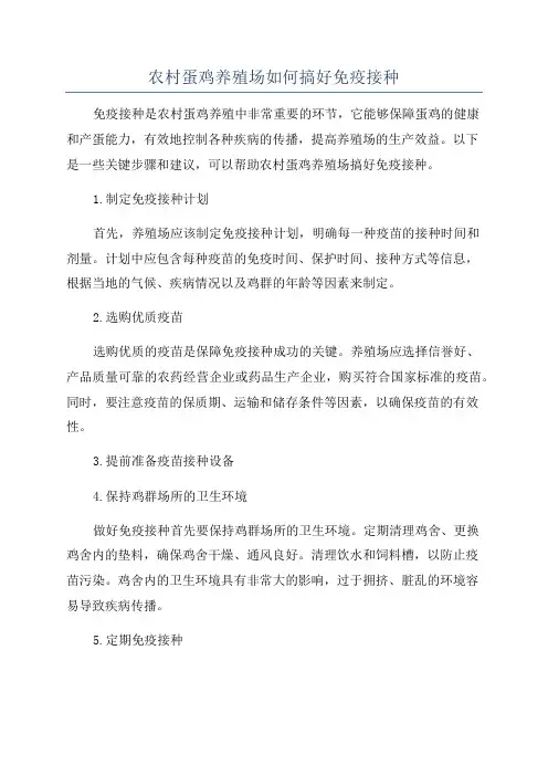 农村蛋鸡养殖场如何搞好免疫接种