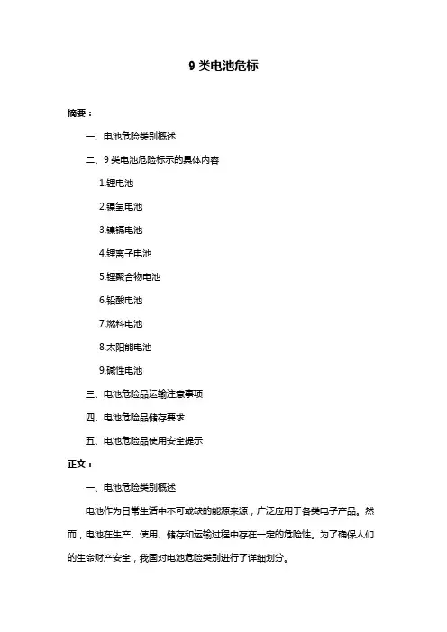 9类电池危标