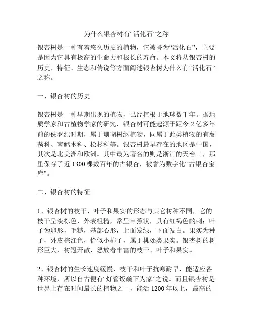 为什么银杏树有“活化石”之称