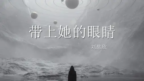 第24课《带上她的眼睛》课件(共20张ppt).ppt