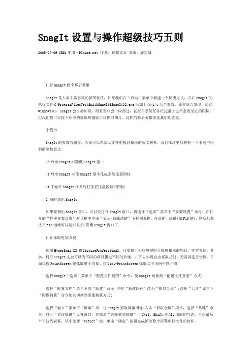 SnagIt设置与操作超级技巧五则
