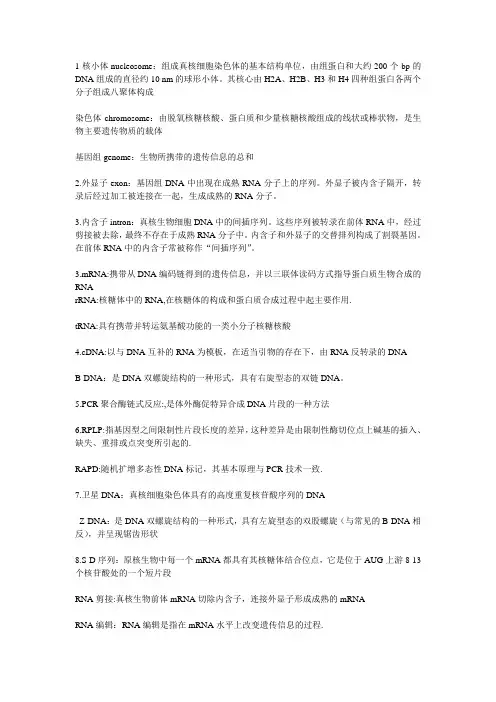 分子生物学  名词解释