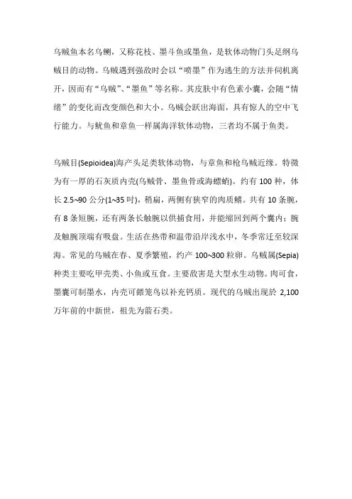乌贼鱼 软体动物门头足纲乌贼目动物