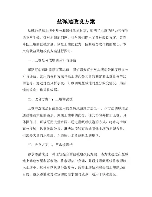盐碱地改良方案