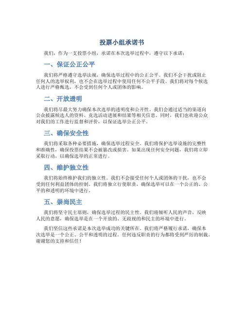 投票小组承诺书
