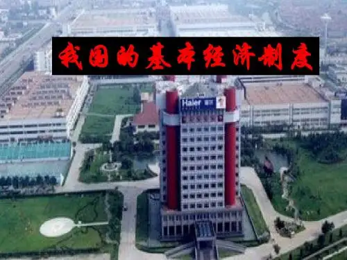 4.2我国的基本经济制度