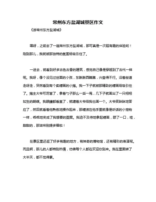 常州东方盐湖城景区作文