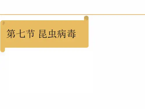 3.7 昆虫病毒