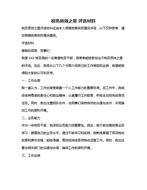 税务质效之星 评选材料