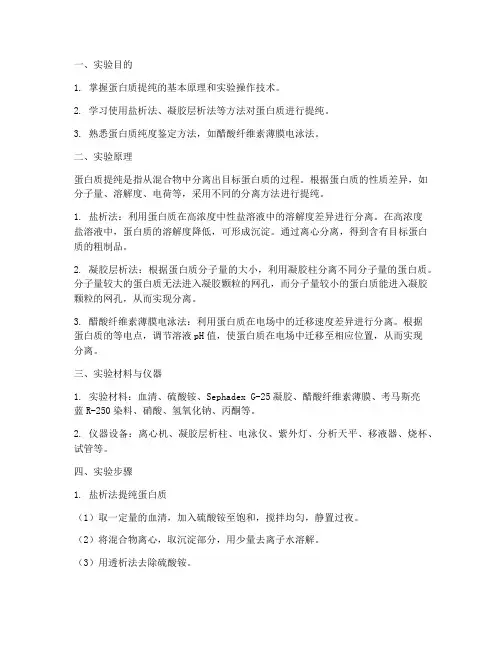 蛋白提纯的实验报告
