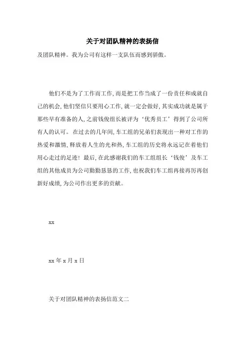 关于对团队精神的表扬信-最新范文
