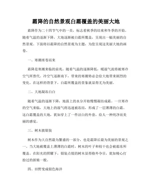 霜降的自然景观白霜覆盖的美丽大地