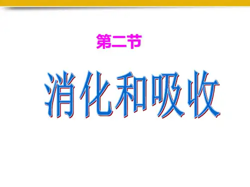 七年级生物下册312《消化和吸收》_人教版_(1)2PPT课件