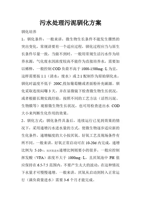 污水处理污泥驯化方案