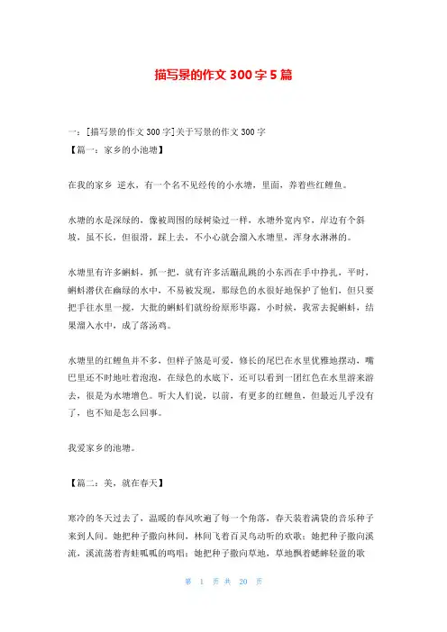 描写景的作文300字5篇