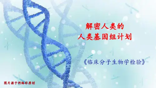 解密人类的人类基因组计划 ppt