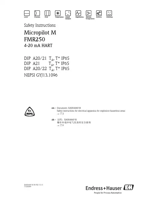 Endress+Hauser Micropilot M FMR250 4-20 mA HART说明书