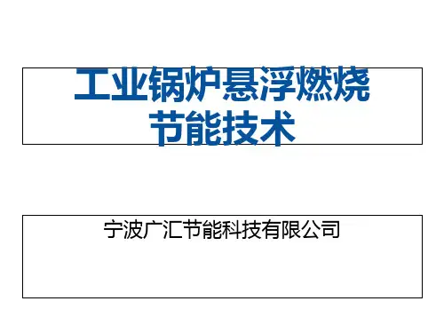 工业锅炉悬浮燃节能技术课件