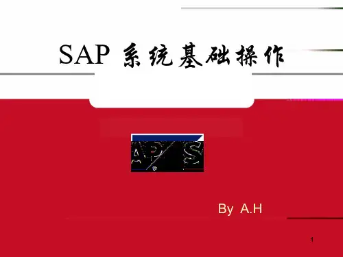 SAP基础操作通用手册PPT课件