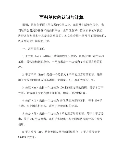 面积单位的认识与计算