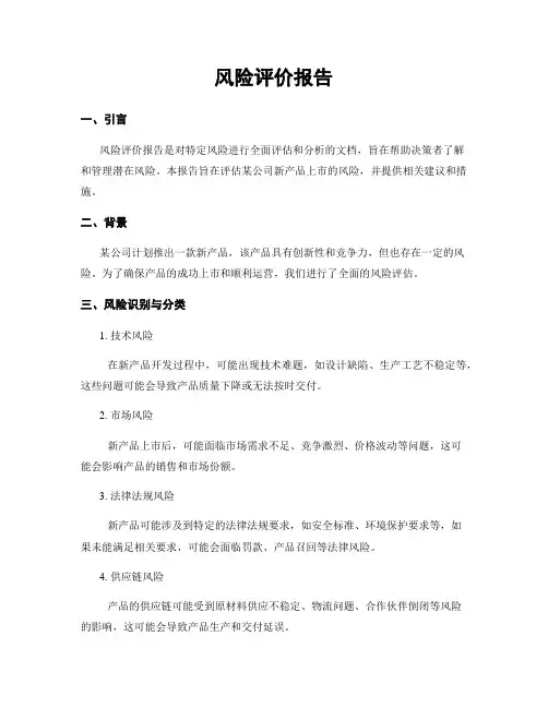 风险评价报告