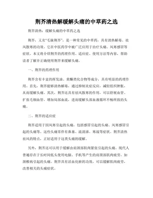 荆芥清热解缓解头痛的中草药之选