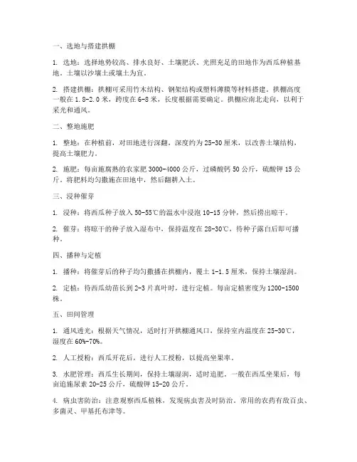 西瓜拱棚种植管理技术
