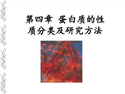 蛋白质的性质分类及研究方法