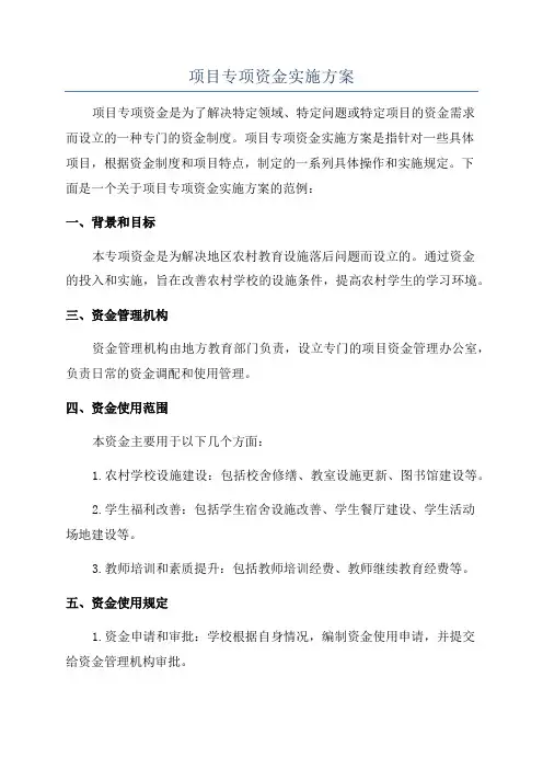 项目专项资金实施方案