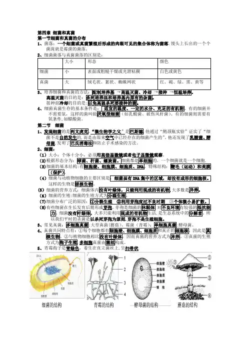 第四章 细菌和真菌——思维导图