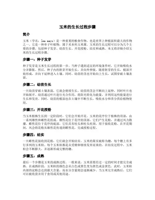 玉米的生长过程步骤