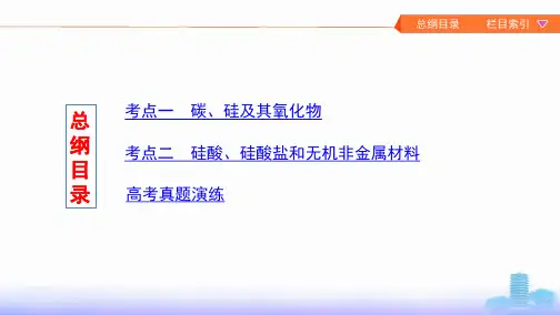 11第1讲碳硅及其化合物
