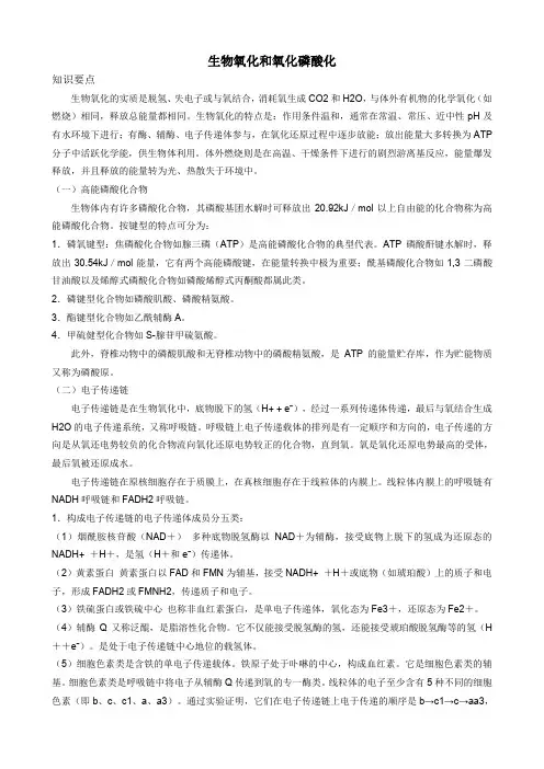 5 生物氧化