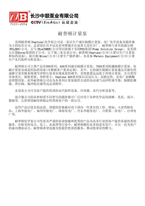 耐普顿计量泵