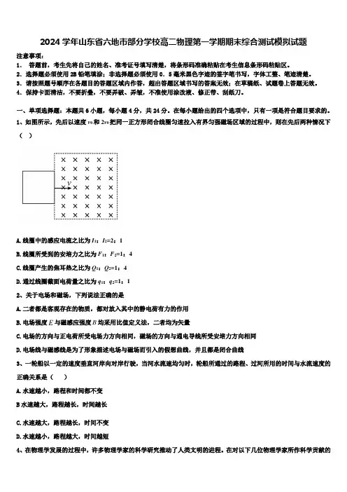 2024学年山东省六地市部分学校高二物理第一学期期末综合测试模拟试题含解析