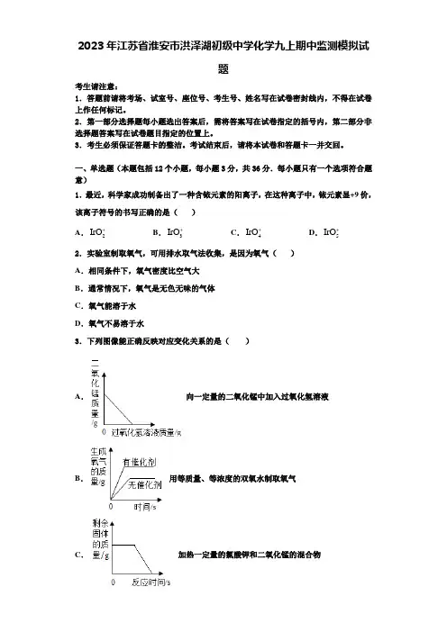 2023年江苏省淮安市洪泽湖初级中学化学九上期中监测模拟试题含解析