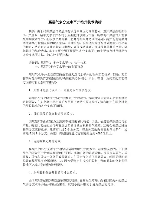 煤层气多分支水平井钻井技术浅析